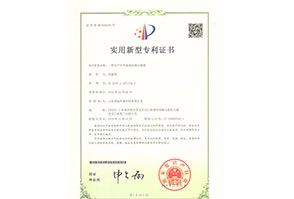 专利证书11