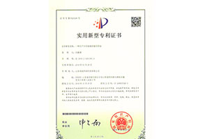 专利19